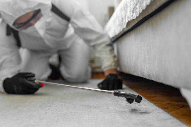 Professional Termite Control technician working in Beverly, MA