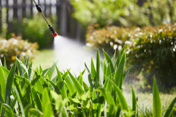 24/7 Emergency Termite Control experts in Beverly, MA