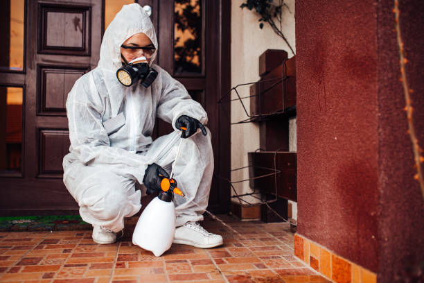Reliable Termite Control contractor in Beverly, MA by Nex Pest Control